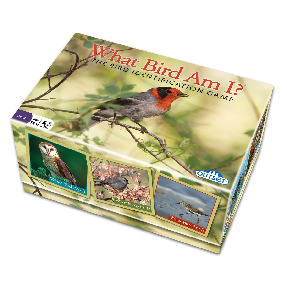 What Bird Am I? The Bird Identification Game | AreYouGame