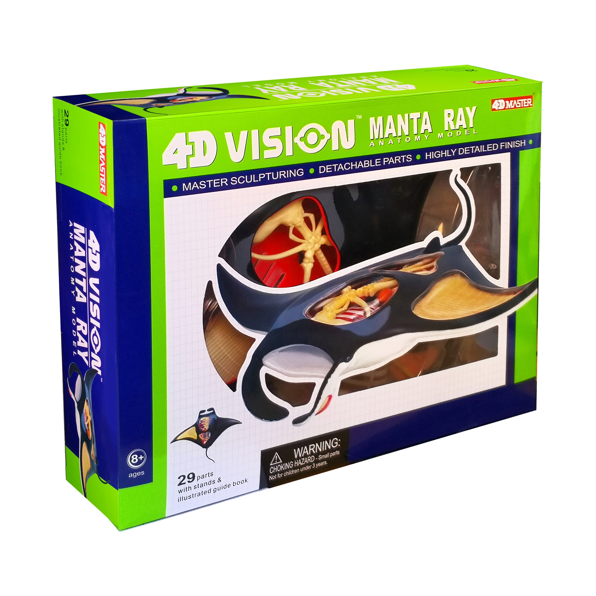 4D Vision Manta Ray Anatomy Model | 3D Puzzle | AreYouGame