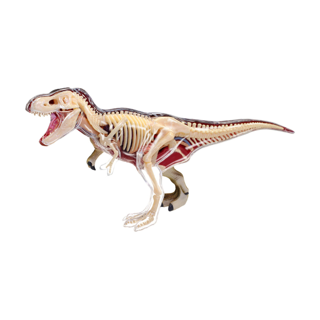 4D Vision T-Rex Anatomy Model | 3D Puzzles | AreYouGame