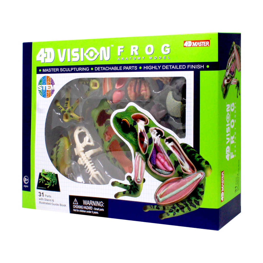 4D Vision Frog Anatomy Model | 3D Puzzle | AreYouGame – AreYouGame.com