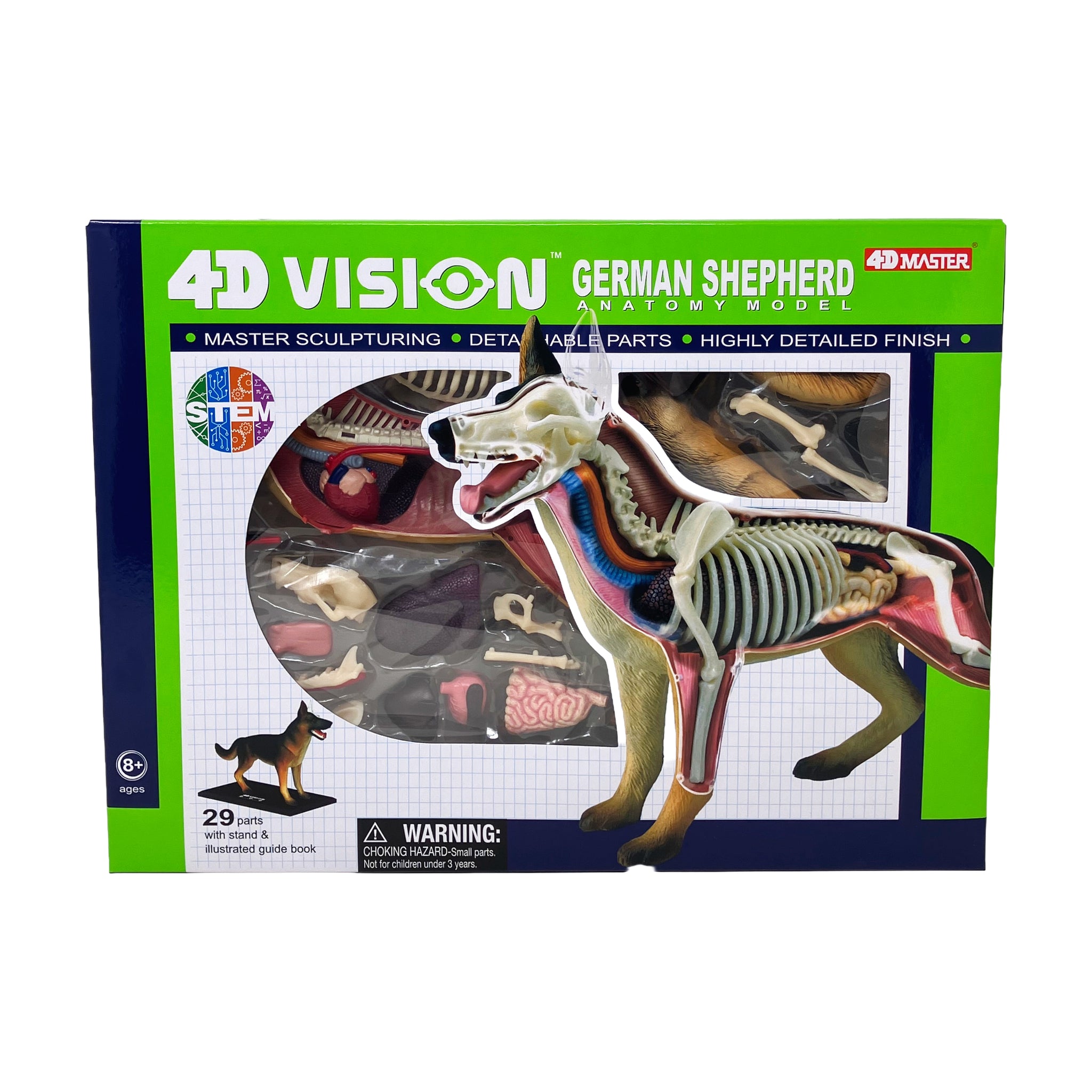 4D Vision German Shepherd Anatomy Model | AreYouGame – AreYouGame.com