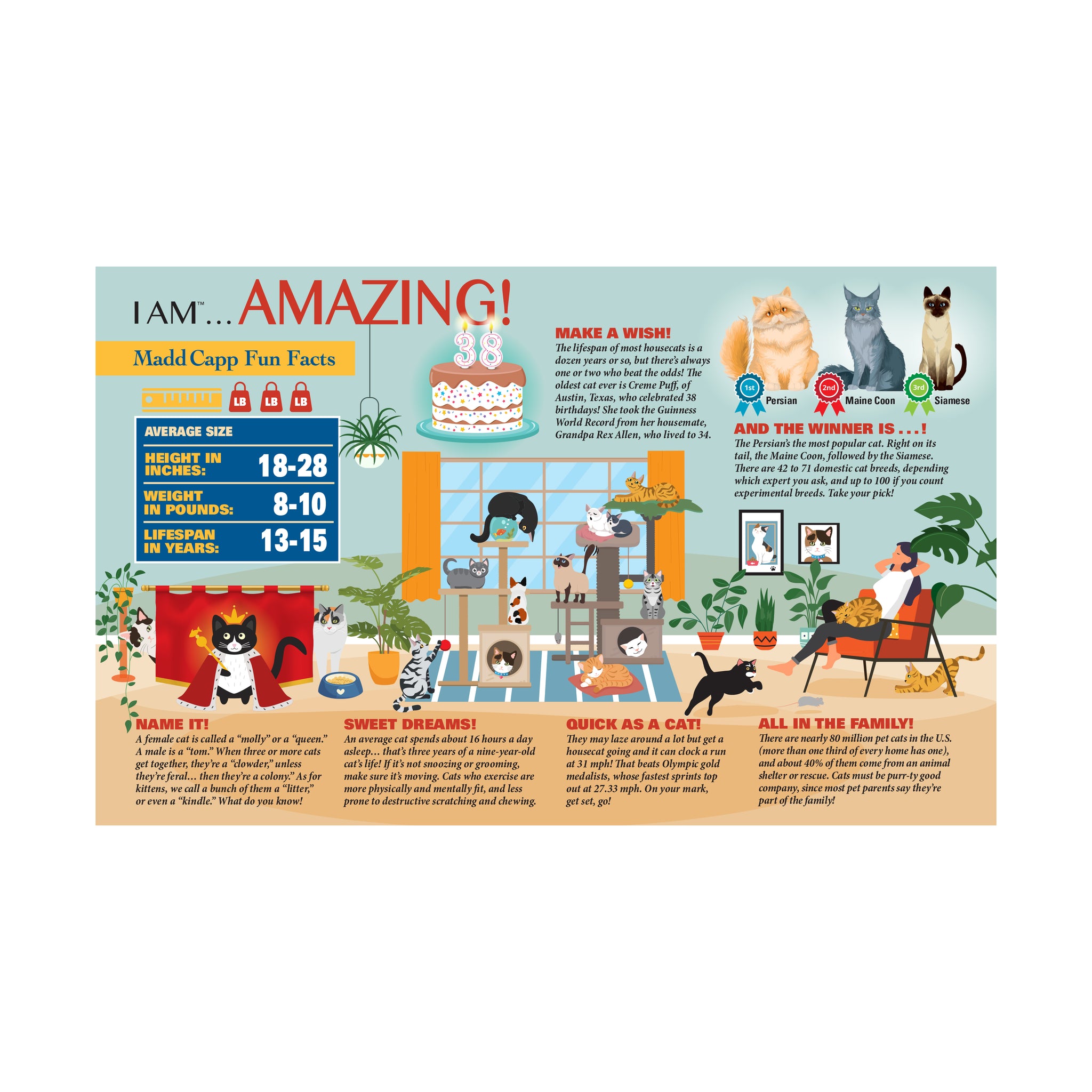 I Am Cat Animal-Shaped Jigsaw Puzzle: 550 Pcs | AreYouGame I Am Cat Animal-Shaped Jigsaw Puzzle: 550 Pcs | AreYouGame