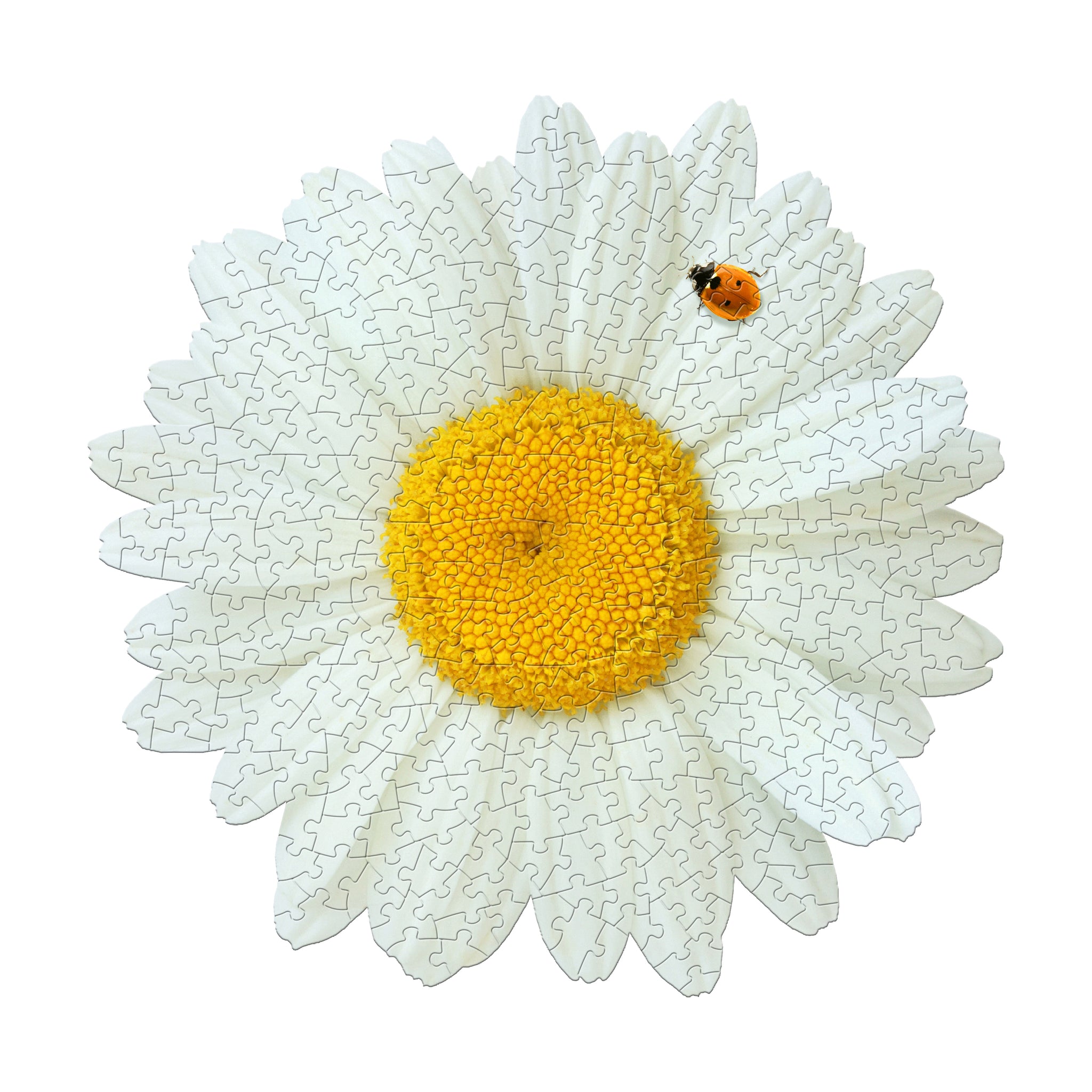 I Am Daisy Floral-Shaped Jigsaw Puzzle: 350 Pcs | AreYouGame