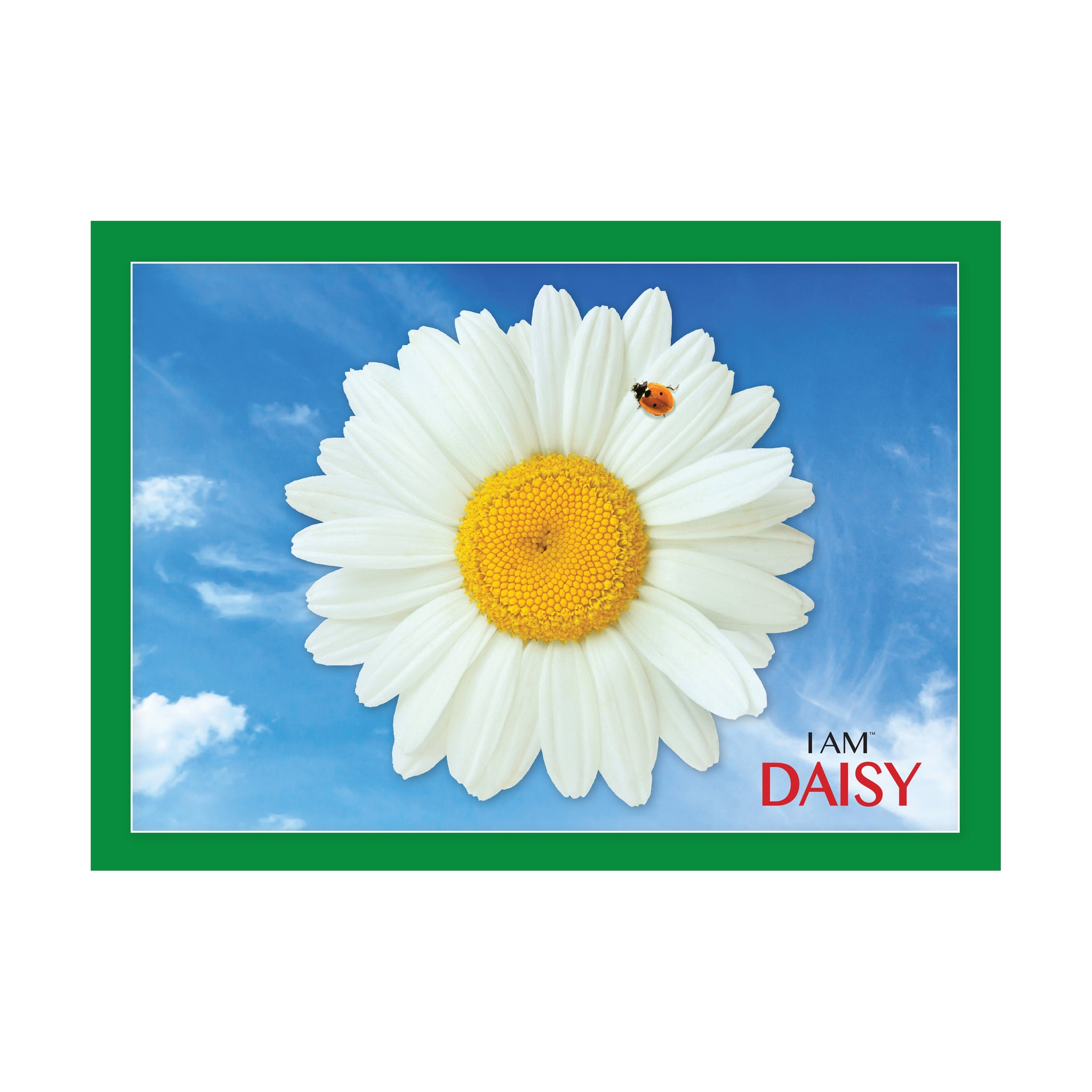 I Am Daisy Floral-Shaped Jigsaw Puzzle: 350 Pcs | AreYouGame