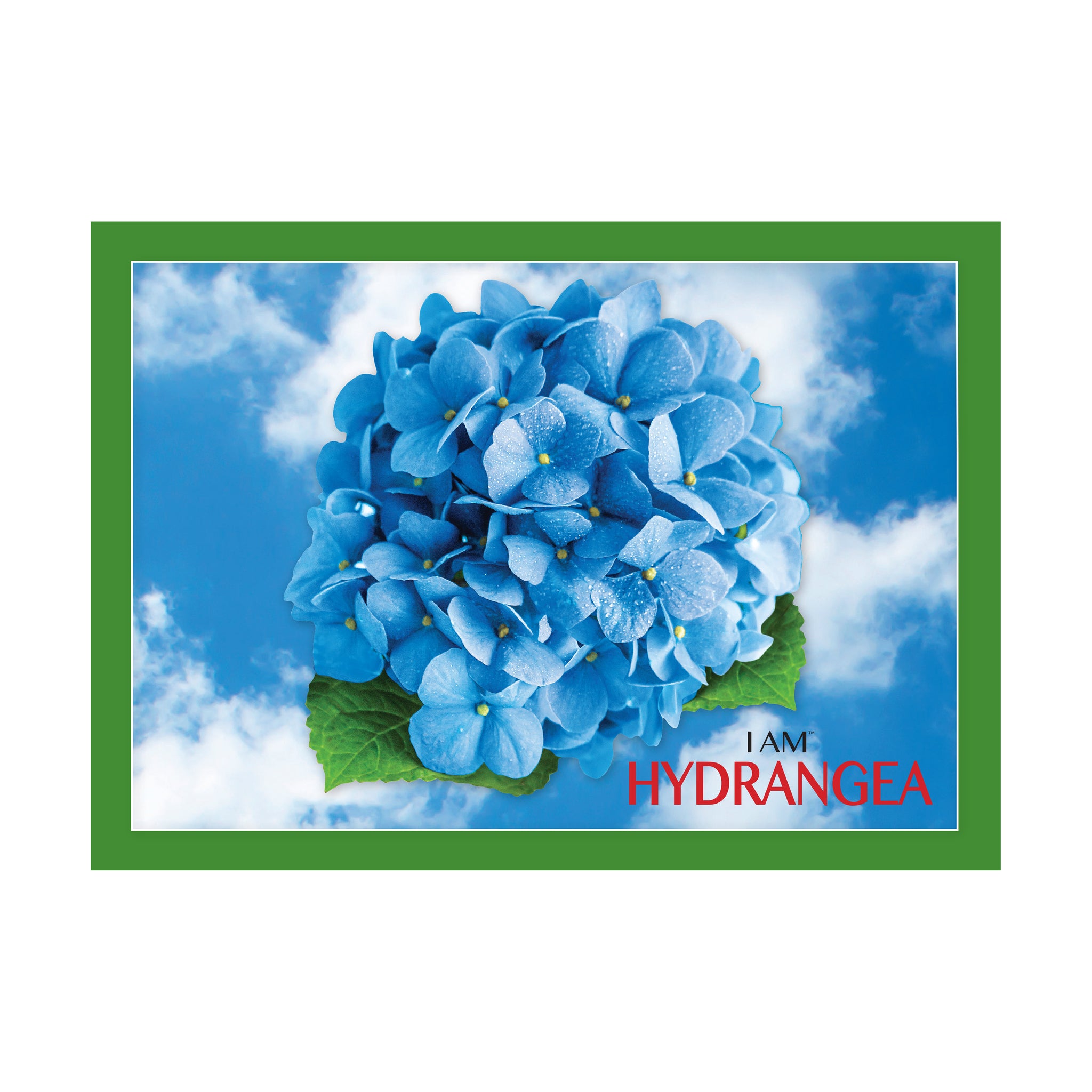 I Am Hydrangea Floral-Shaped Jigsaw Puzzle: 350 Pcs | AreYouGame