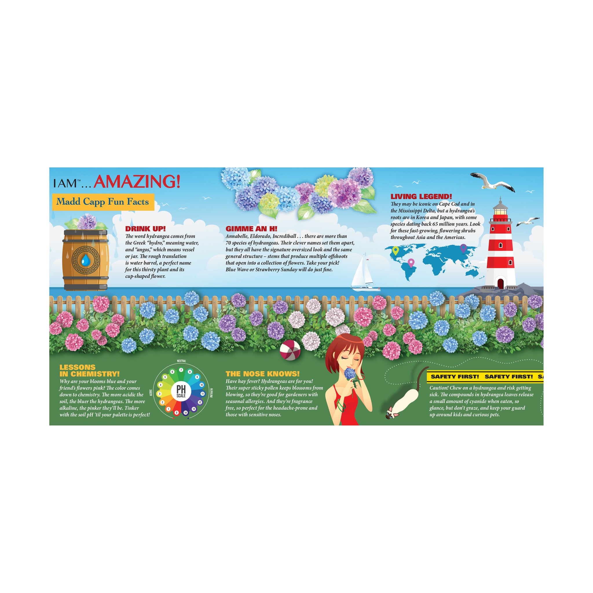 I Am Hydrangea Floral-Shaped Jigsaw Puzzle: 350 Pcs | AreYouGame