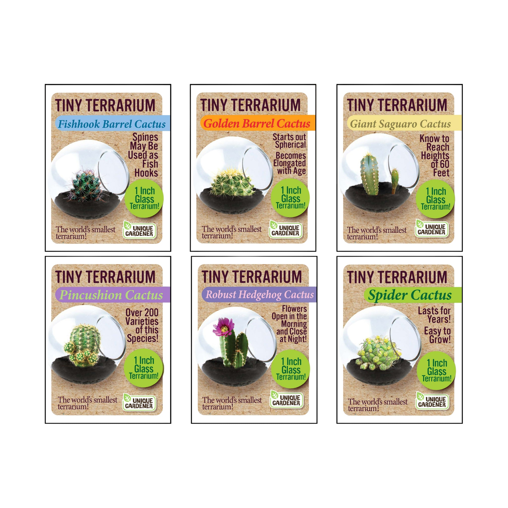 Unique Gardener Tiny Terrarium