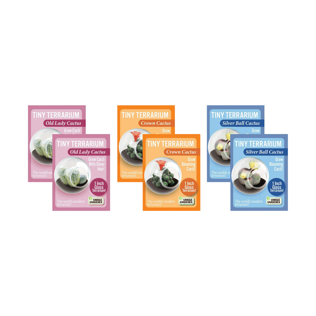 Unique Gardener Tiny Terrarium - 3 Variety Flowering Cacti Pack: 2 of Each