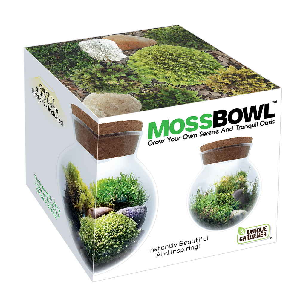 Unique Gardener MossBowl - Grown Your Own Serene and Tranquil Oasis