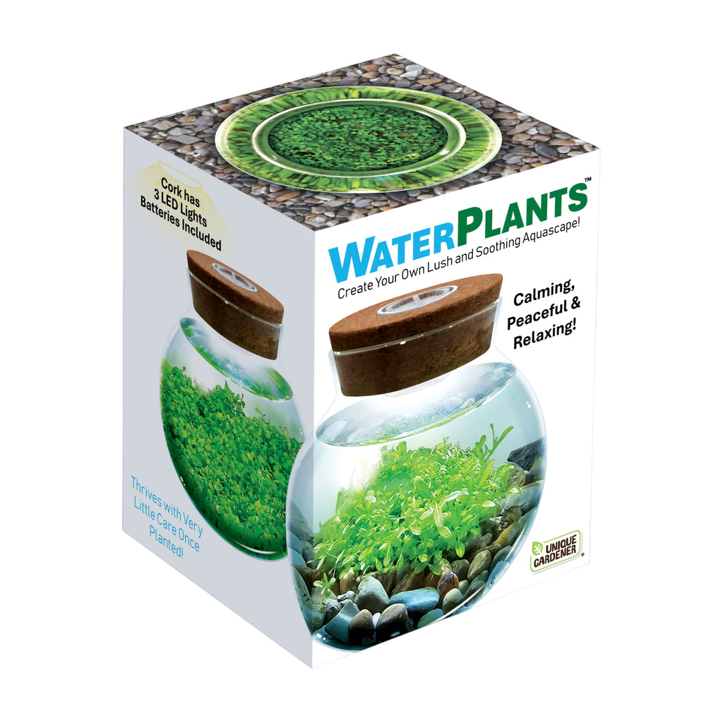 Unique Gardener WaterPlants - Create Your Own Lush and Soothing Aquascape