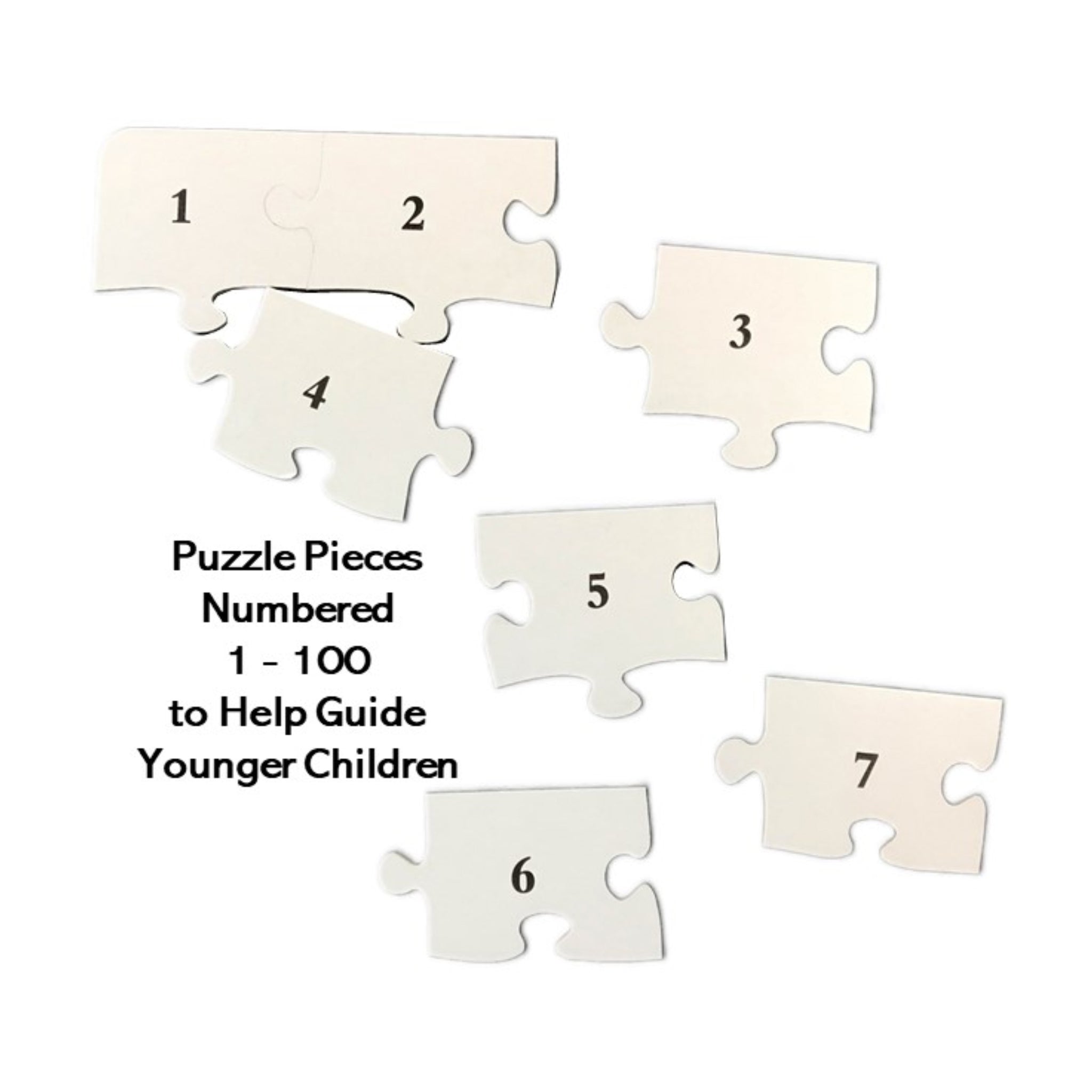 I Spy Mystery Search & Find Puzzle: 100 Pcs | AreYouGame
