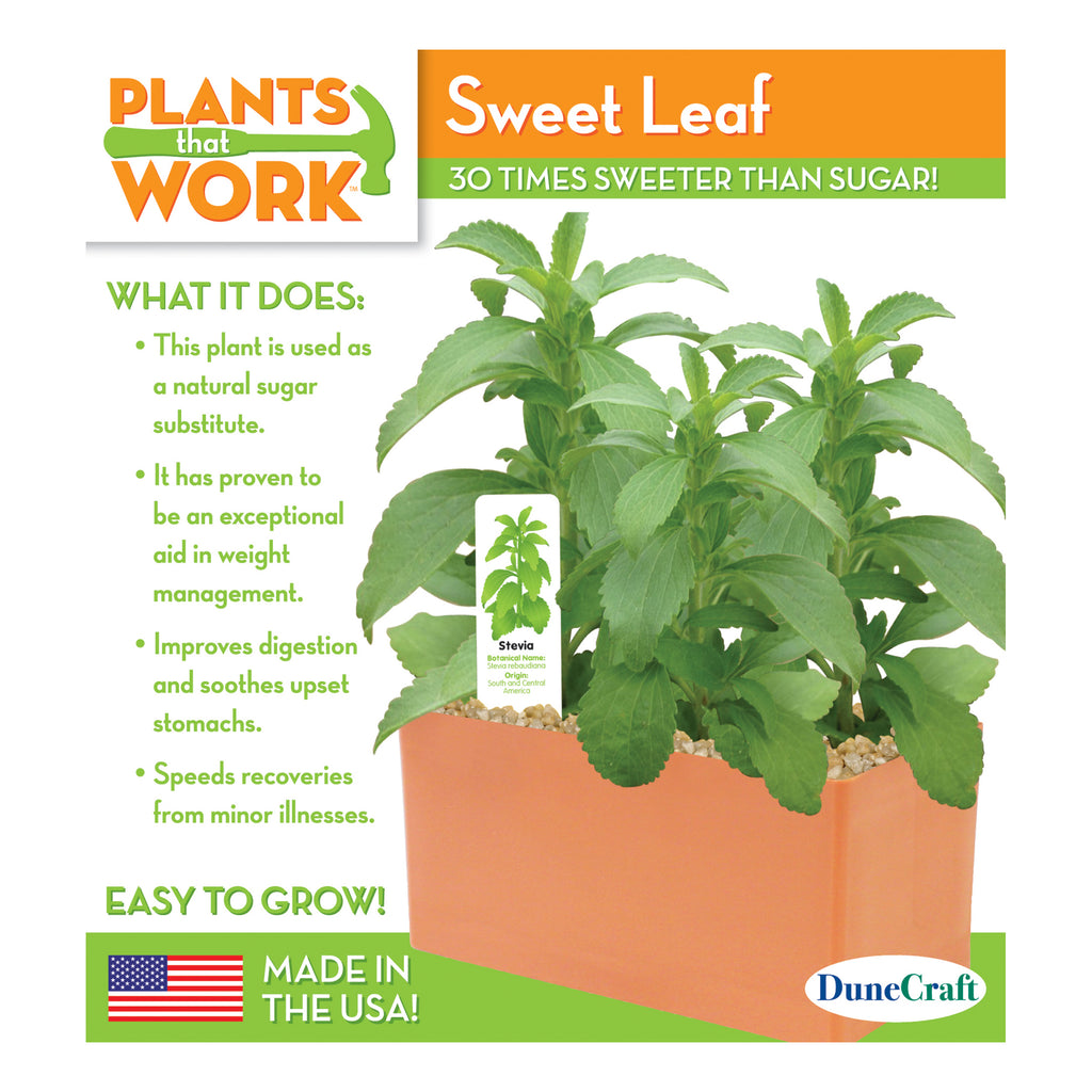 Dunecraft Sweet Leaf Plant Kit