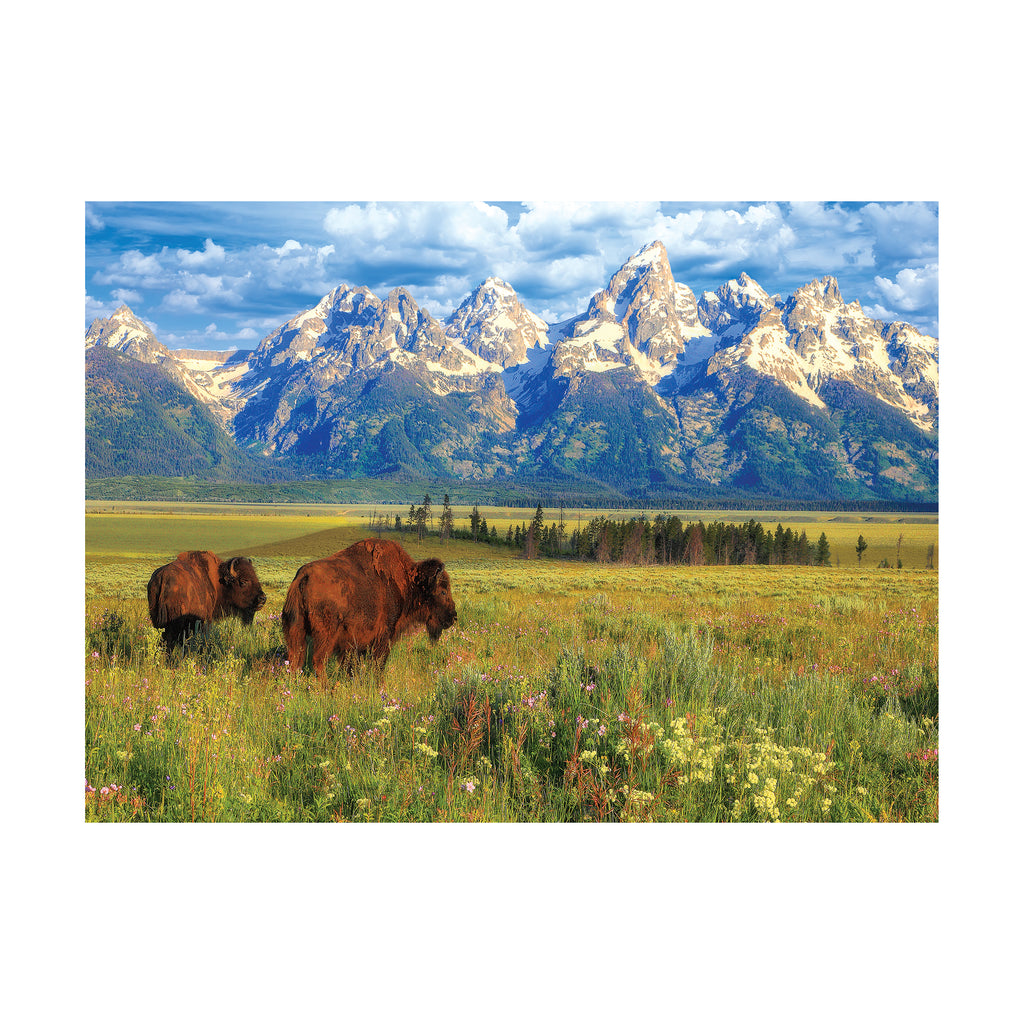 Eurographics Inc Steve Hinch - Grand Teton National Park, Wyoming, USA: 1000 Pcs