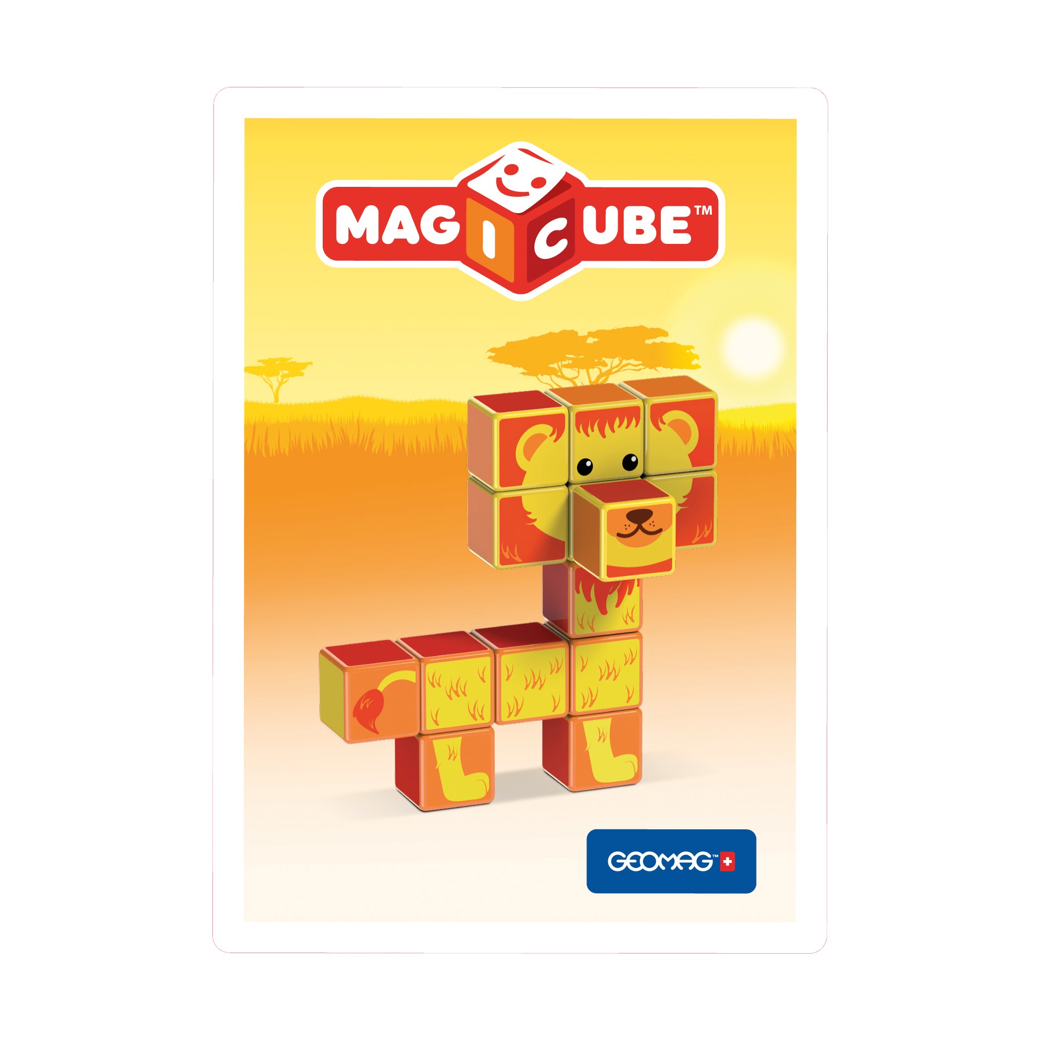 Magic 2024 cube geomag