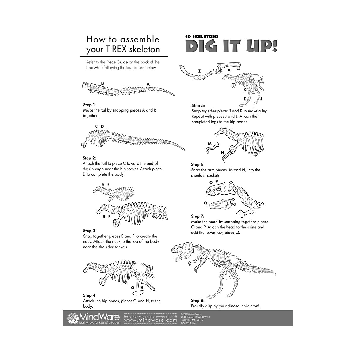 Dig It Up! Dino Model: Tyrannosaurus Rex AreYouGame