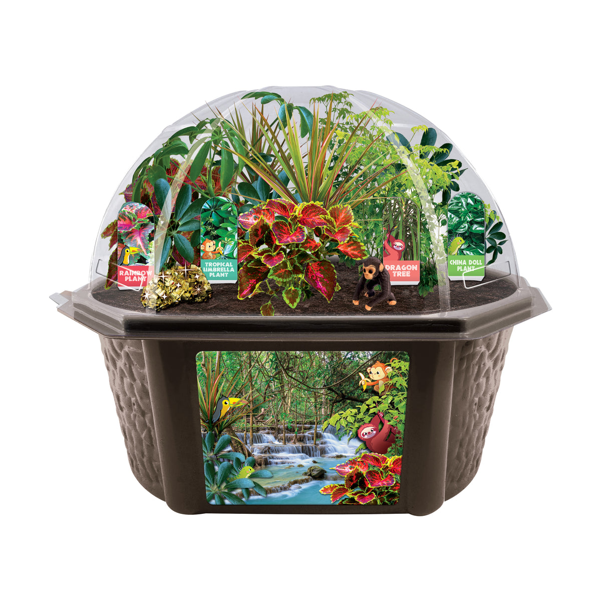 Biosphere Terrarium - Tropical Rainforest Jungle | AreYouGame ...