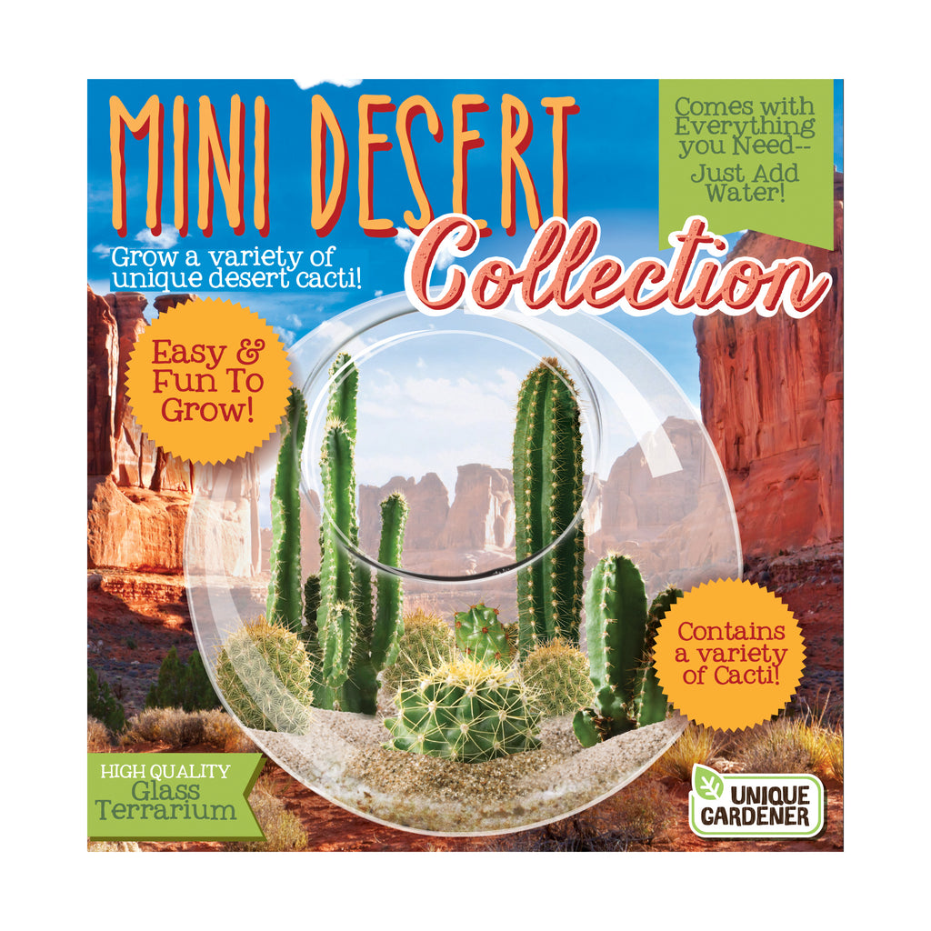 Unique Gardener Glass Terrarium - Mini Desert Collection
