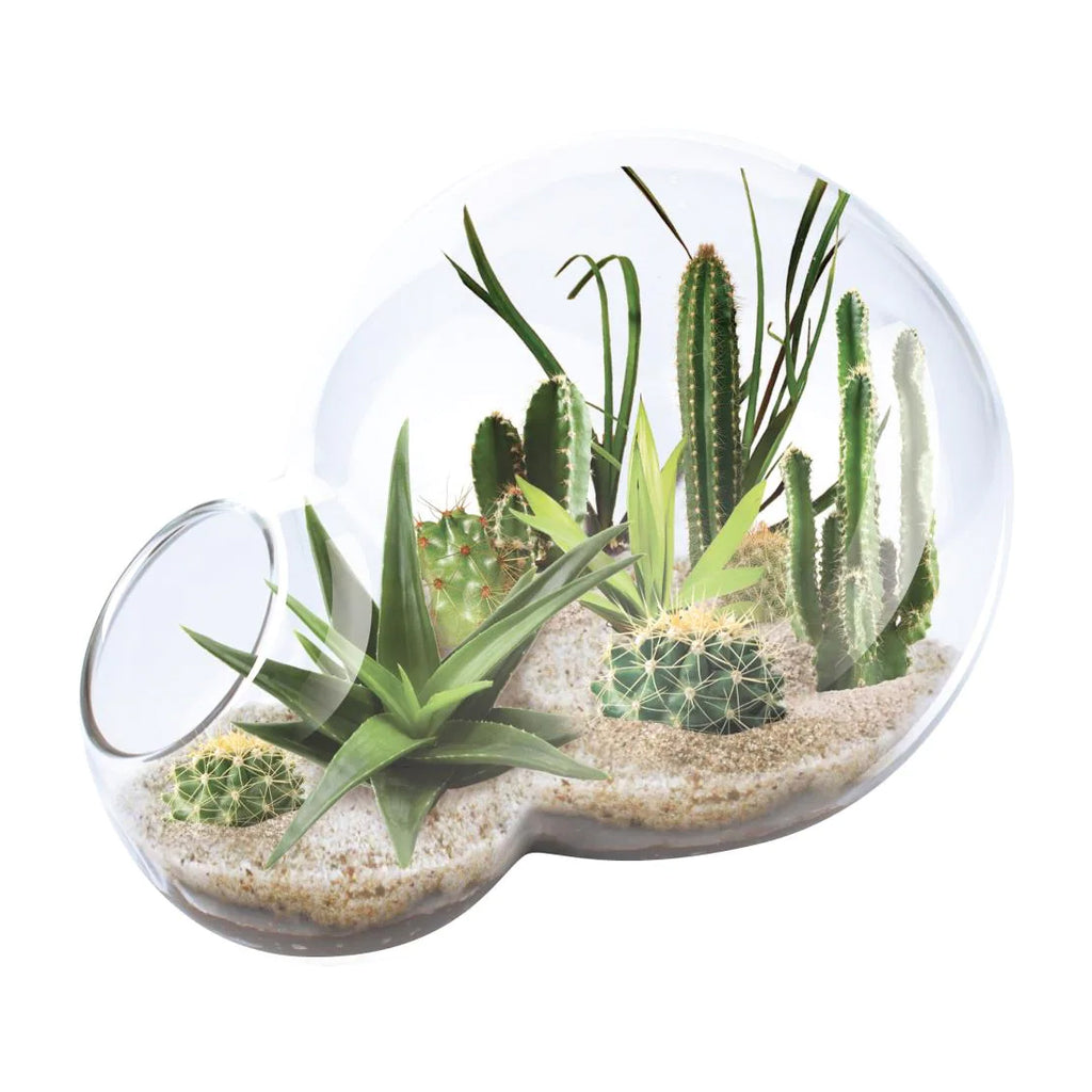 Unique Gardener Double Sphere Glass Terrarium - Desert Escape Growarium
