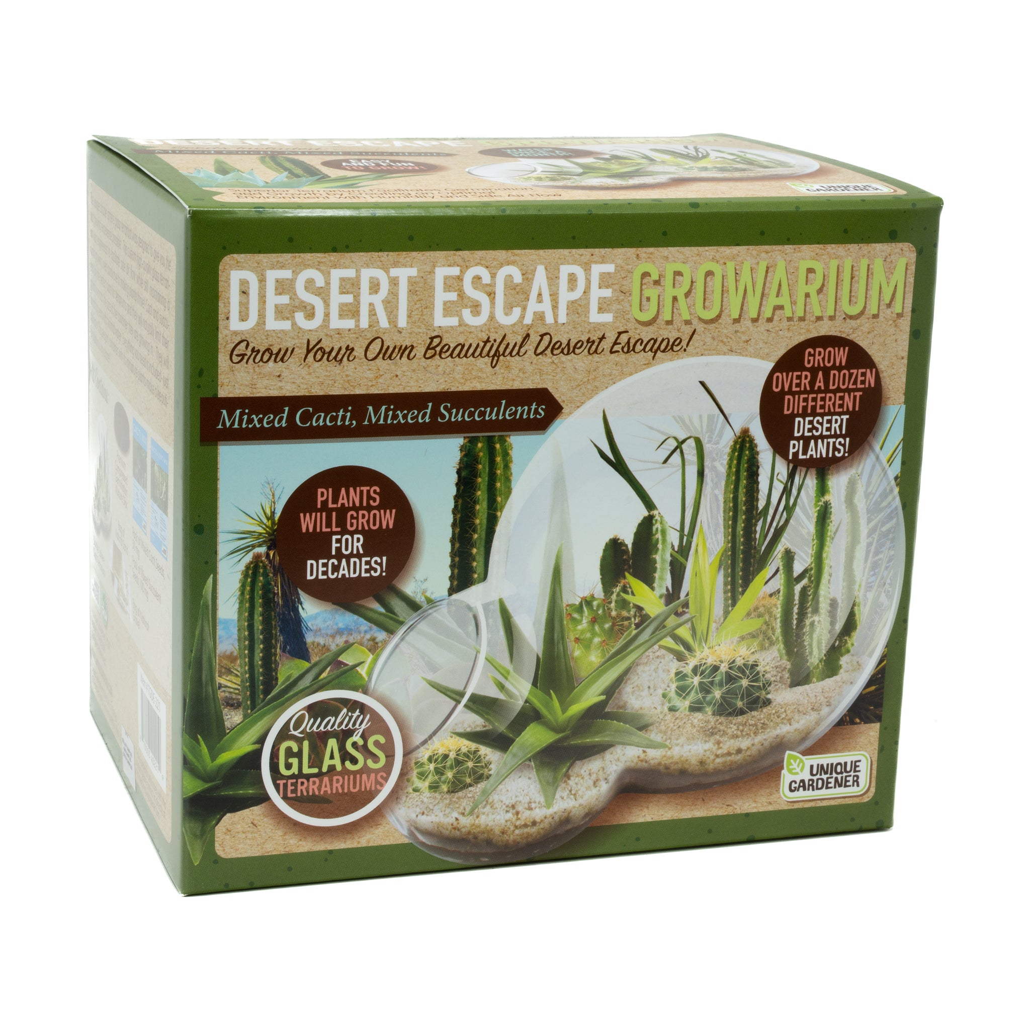 desert escape succulents and cacti Desert Escape Growarium Glass Terrarium