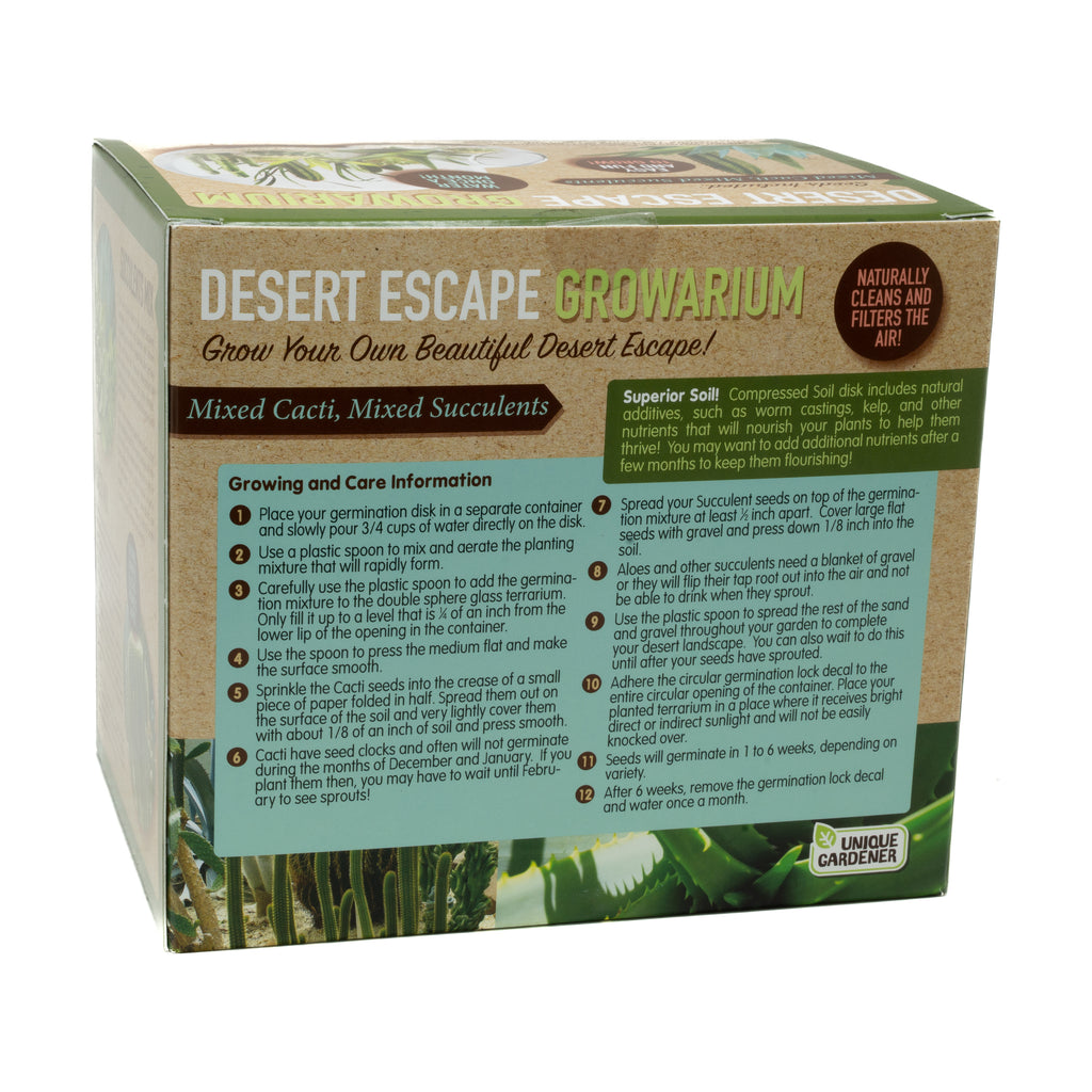 desert escape succulents Double Sphere Glass Terrarium